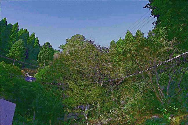 芦屋プラン株式会社七夕（たなばた1 Copilot